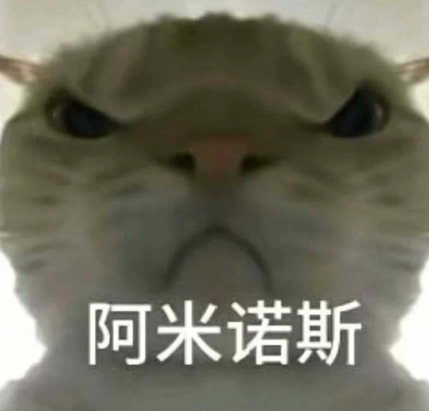 多球员曾经