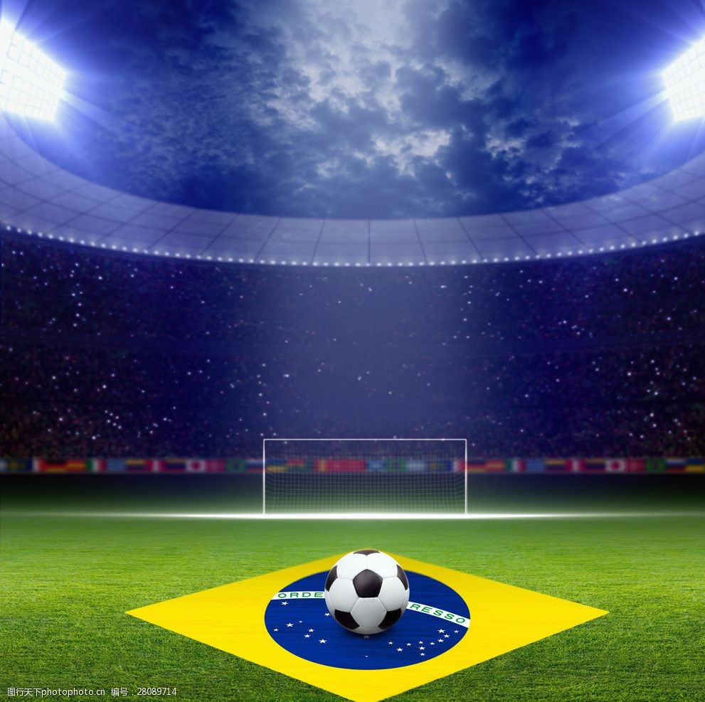 活力与更新 活力与更新