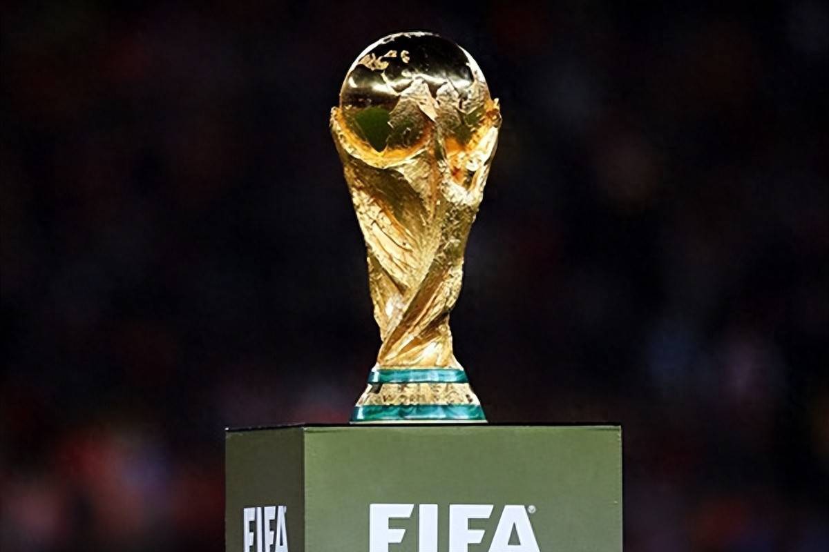 研究机构正 研究机构正